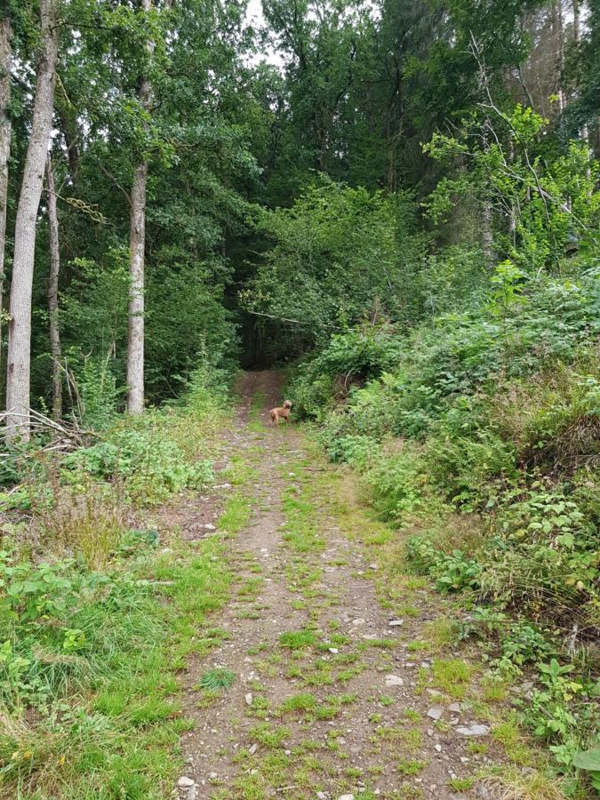 La Petite Romantique Martelange Eksteriør billede